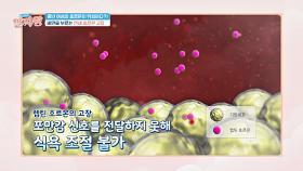 불가능에 가까운 중년의 다이어트💦 원인은 고장 난 호르몬 때문이다?! | JTBC 240509 방송