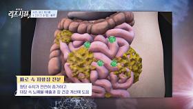 비만, 혈당 개선에 도움을 줄 수 있는 고대 곡물 파로👍🏻 | JTBC 240527 방송