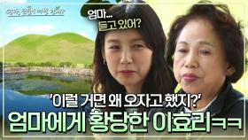 (이효리 당황😵) 엄마를 위해 준비한 경주 여행‥ 멍 때리는 엄마?! | JTBC 240526 방송