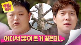 벼락 맞은 나무에 이입된 고경표, ＂얘도 벼락 맞을 걸 알았을까?＂ | JTBC 240530 방송