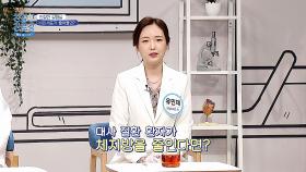 (실험) 비만세포가 줄어들면 우리 몸에 생기는 일👍 | JTBC 240610 방송