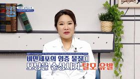 한 움큼씩 빠지는 머리카락들💥 살이 찌면 탈모가 오기 쉽다!?😱 | JTBC 240610 방송