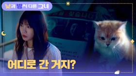 어젯밤 우연히 만났던 고양이가 동물 병원에서 감쪽같이 사라졌다...? | JTBC 240615 방송