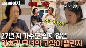 꽁꽁 얼어붙은 한강 위로 이효리 모녀가 걸어다닙니다🐈｜엄마, 단둘이 여행 갈래?｜JTBC 240623 방송