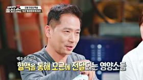 탈모 예방 첫걸음 → 모근 강화! '맥주 효모'로 모근 영양 챙기자✨ | JTBC 240708 방송