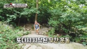 108배부터 등산까지🏔️ 과도한 운동이 부른 세포 손상 위험😱 | JTBC 240923 방송