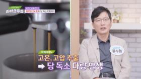 두부, 닭고기, 커피 모두 위험하다?! 당 독소 유발하는 잘못된 조리법😲 | JTBC 240925 방송