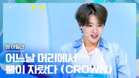 세상 무해한 매력이 팡팡! 호주 소년 팡 아틸라의 〈어느날 머리에서 뿔이 자랐다 (CROWN)〉♪ | JTBC 241018 방송