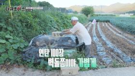 관절염에 대한 나이 고정관념 파괴! 95세 어르신의 건강 비법💪 | JTBC 241012 방송