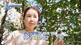 55세라고?! 나이가 믿기지 않는 동안 미모 소유자의 피부 관리법! | JTBC 241028 방송