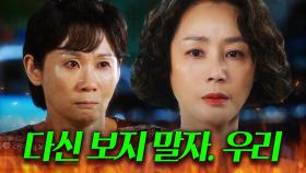 🔥흑화🔥 남편 뺑소니 사건의 범인을 알게 된 김성령의 싸늘한 한 마디｜정숙한 세일즈｜JTBC 241109 방송 외