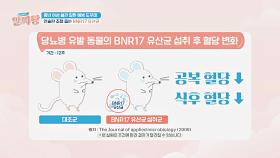 혈당 관리까지?! 인슐린 조절을 돕는 'BNR17 유산균'👍🏻 | JTBC 241114 방송