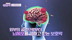 치매 예방을 위해 챙기자! 뇌 신경세포 보호막 