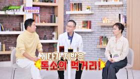 염증을 유발하는 