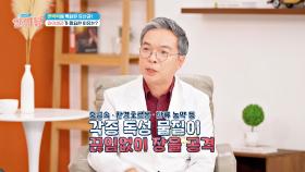 면역력 강화를 위해 장 건강을 챙겨야 하는 이유는? | JTBC 241219 방송