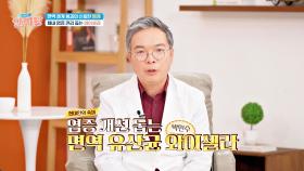 체내 염증 관리 돕는 면역 유산균 와이셀라☺ | JTBC 241219 방송