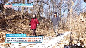 유산소&근력 운동 효과를 한 번에✨ 이색 걷기 운동 