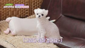 다이어트를 위해 급하게 먹는 생활 습관?! 오히려 비만을 부른다💥 | JTBC 250212 방송