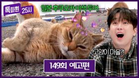 톡파원 25시 149회 예고편 - 후쿠오카로 같이 떠나자옹🐱