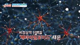 (충격) 치매의 원인은 비정상적인 단백질 때문이다?! | JTBC 250306 방송