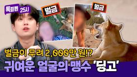귀여움에 속으면 큰일🙊 셀카 찍으면 벌금이 무려 2,000만 원!? | JTBC 250310 방송