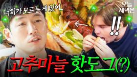 외국인에게 고추마늘 핫도그를 대접해 봤다｜늦기 전에 어학연수 샬라샬라｜JTBC 250322 방송