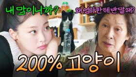 모에화하는 거 아니고 최희진 진짜 고양이 그 잡채💥｜천국보다 아름다운｜JTBC 250420 방송 외