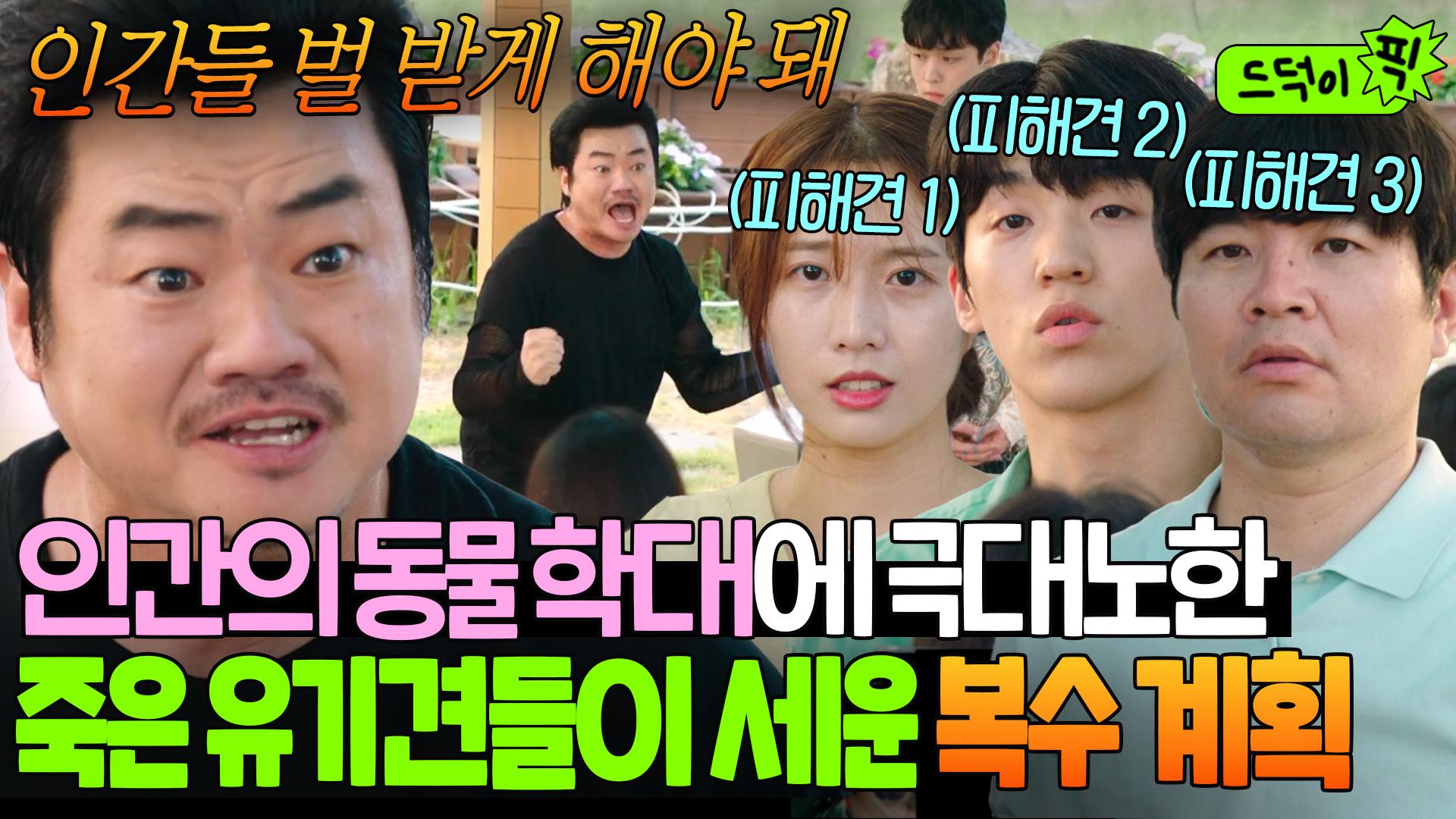 ＂무시무시한 벌을 줄 거야💢＂학대로 무지개 다리 건너게 만든 인간에게 분노 폭발한 천국 유기견들의 🔥복수 계획🔥｜천국보다... 