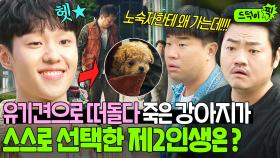 (반전) 새 주인이 노숙자라고?! 금수저 집 보다 