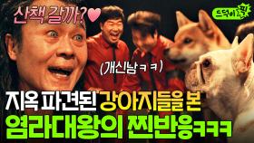 염라도 인간이었어ㅋㅋ 몇만 년 만에 강아지 본 천호진의 광대 승천💗 지옥 파견 갔다 새 주인(?) 찾은 유기견들🐾｜천국보다 아름다운｜JTBC 250518 방송 외