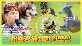 크기도 성격도 각양각색✨! 개성 넘치는 댕댕이들의 유치원 입학식 | JTBC 250525 방송