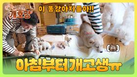 먹으면 안 돼!! 아침부터 💩과의 전쟁 치르는 전현무 | JTBC 250525 방송