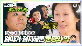 김혜자X이정은 통합본📁 47년째 모솔인 딸을 위해 🔥운명의 남자🔥 엮어준 엄마!? 근데 이제... 19억과 뒤바꾼...💰｜천국보다 아름다운｜JTBC 250525 방송 외