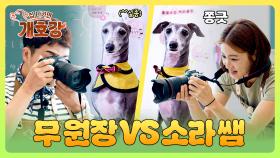 (찰칵📸) 카메라 든 사람에 따라 달라지는 율이의 표정?! ㅋㅋ | JTBC 250601 방송