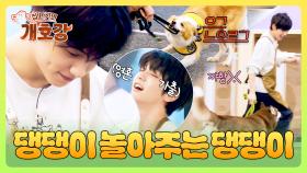 수빈 살려😵‍💫 대형견들과 온몸으로 놀아주고 잔뜩 지친 수빈😂 | JTBC 250608 방송