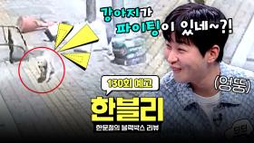한블리 (한문철의 블랙박스 리뷰) 130회 예고편 - 도로 위 아마겟돈 (with. 교통 천재 딘딘) | 6/17(화) 저녁 8시 50분 방송!