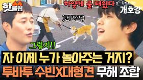 ＂재밌는데요..?ㅠㅠ＂✨세상 무해한 조합✨지칠 줄 모르는 대형견 텐션에 하얗게 불태운 투바투 수빈🐾｜집 나가면 개호강｜JTBC 250601 방송