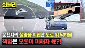 갑자기 날아온 '판스프링'에 공격받은 운전자, 책임도 피해자 몫?! | JTBC 250610 방송