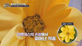 칼로 찢는 듯한 고통😢 극심한 관절염 극복하고 제2의 인생을 사는 어벤져스! | JTBC 250614 방송