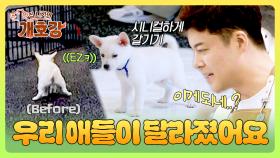 이게 되네..?😲 금쪽이 무둥이들을 바로 배변 성공할 수 있게 만든 훈련법?! | JTBC 250615 방송