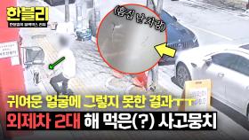 맴찢🥺 해맑게 돌아다니는 강아지가 외제차에 남긴 쓰라린 흔적ㅠㅠ | JTBC 250617 방송