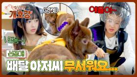 [선공개] 무슨 소리댕...?🔔 경계심을 풀기 위한 