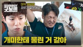 러시아에서 들여온 X약 압수 중 독개미에게 물린 허성태?! | JTBC 250622 방송