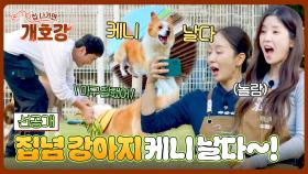 [선공개] 갱얼쥐 날다~! ✨어질리티 천재 견✨ 케니의 폭풍 질주💨💨 〈집 나가면 개호강〉 6/29(일) 오전 10시 30분 방송!