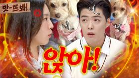 앗! 💥앉아! ㄴ넵💥 이상화 한마디에 강아지랑 같이(?) 혼난 강남 레전드 썰ㅋㅋ｜아는 형님｜JTBC 220423 방송 외