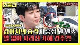 [하이라이트] ※견주를 찾습니다※ 강아지의 습격에 피해 입은 벤X 2대, 수리비만 무려 1,000만 원?! | JTBC 250617 방송