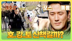 이건 첫 번째 레슨~👀 툭툭! 특별 케어 반 산책 완벽 컨드롤 방법! | JTBC 250706 방송