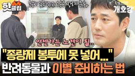 ＂이제는 가족인데..＂ 우리 집 강아지가 폐기물?! 언젠가 마주하게 될 이별의 순간 준비하는 방법💦｜집 나가면 개호강｜JTBC 250706 방송