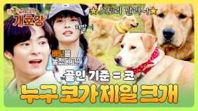 막판 뒤집기 승패는 