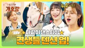 강아지 SO NICE~! 화사🌞선생님과 함께하는 댄스타임! | JTBC 250720 방송